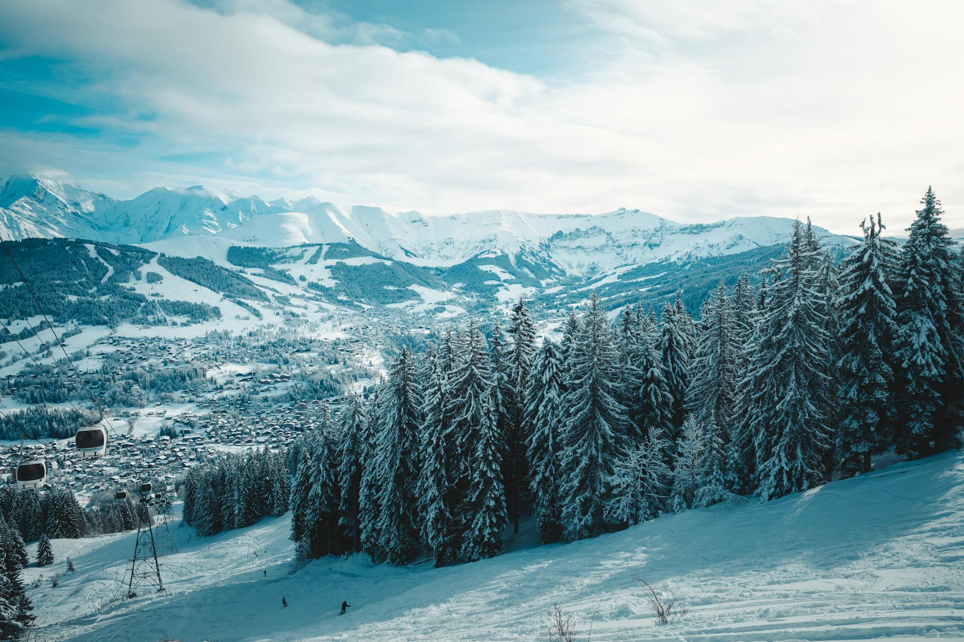 Kostenloses Stock Foto zu 12 zoll schnee, 4 k wald, 8 stunden schnee