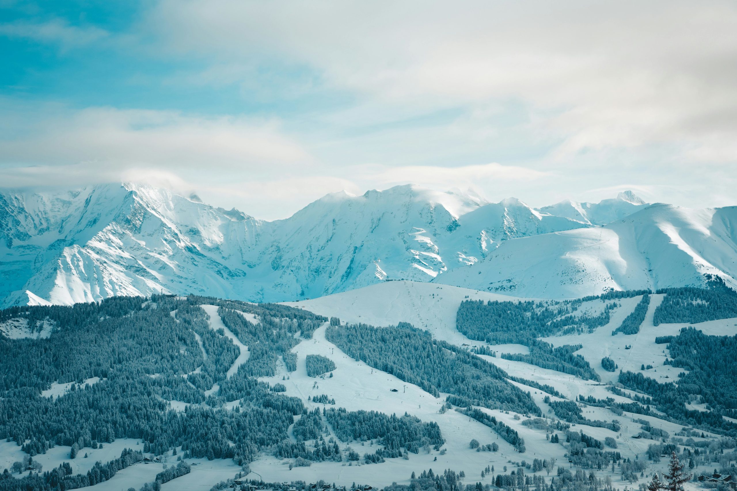 Kostenloses Stock Foto zu 12 zoll schnee, 4 k wald, 8 stunden schnee