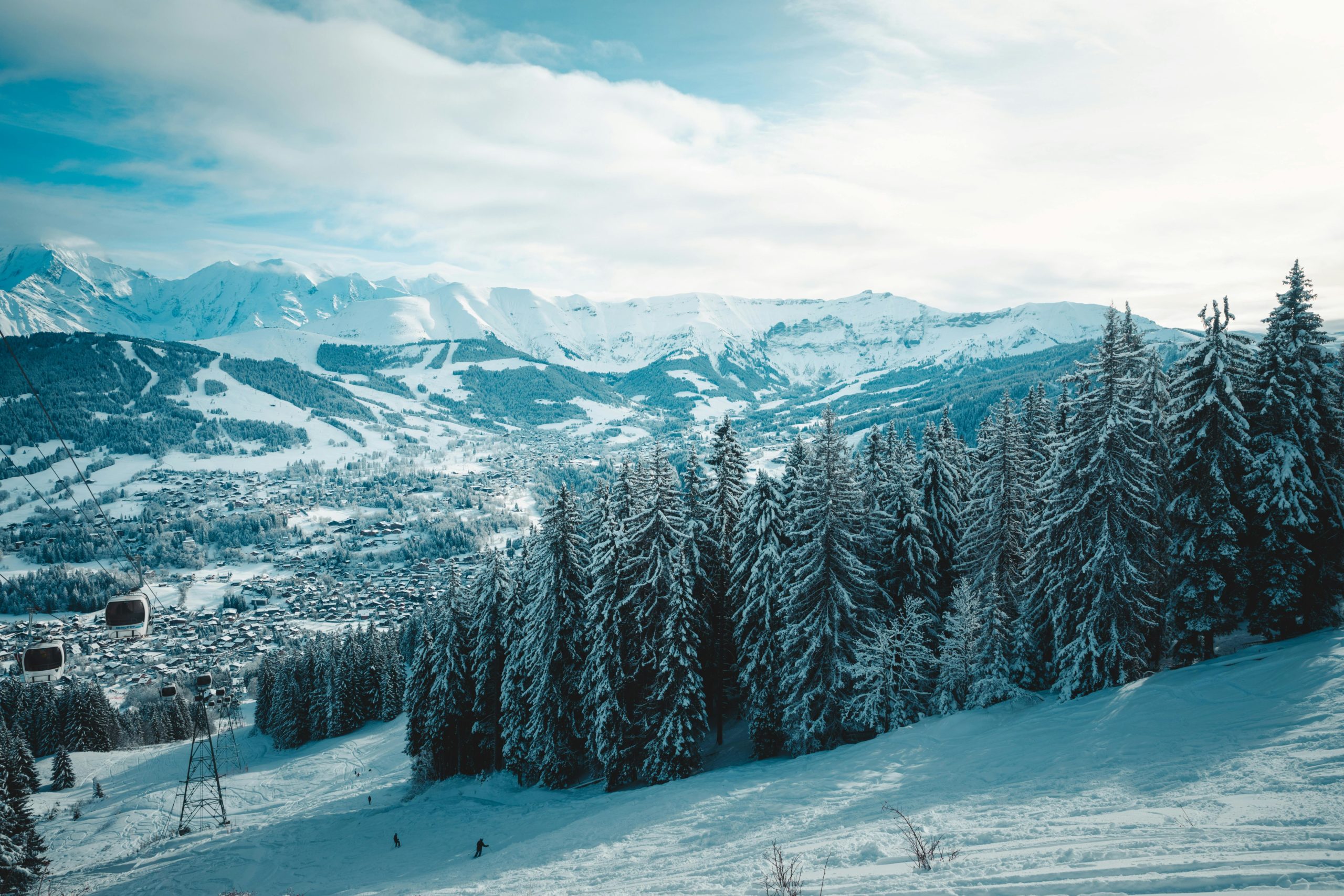 Kostenloses Stock Foto zu 12 zoll schnee, 4 k wald, 8 stunden schnee