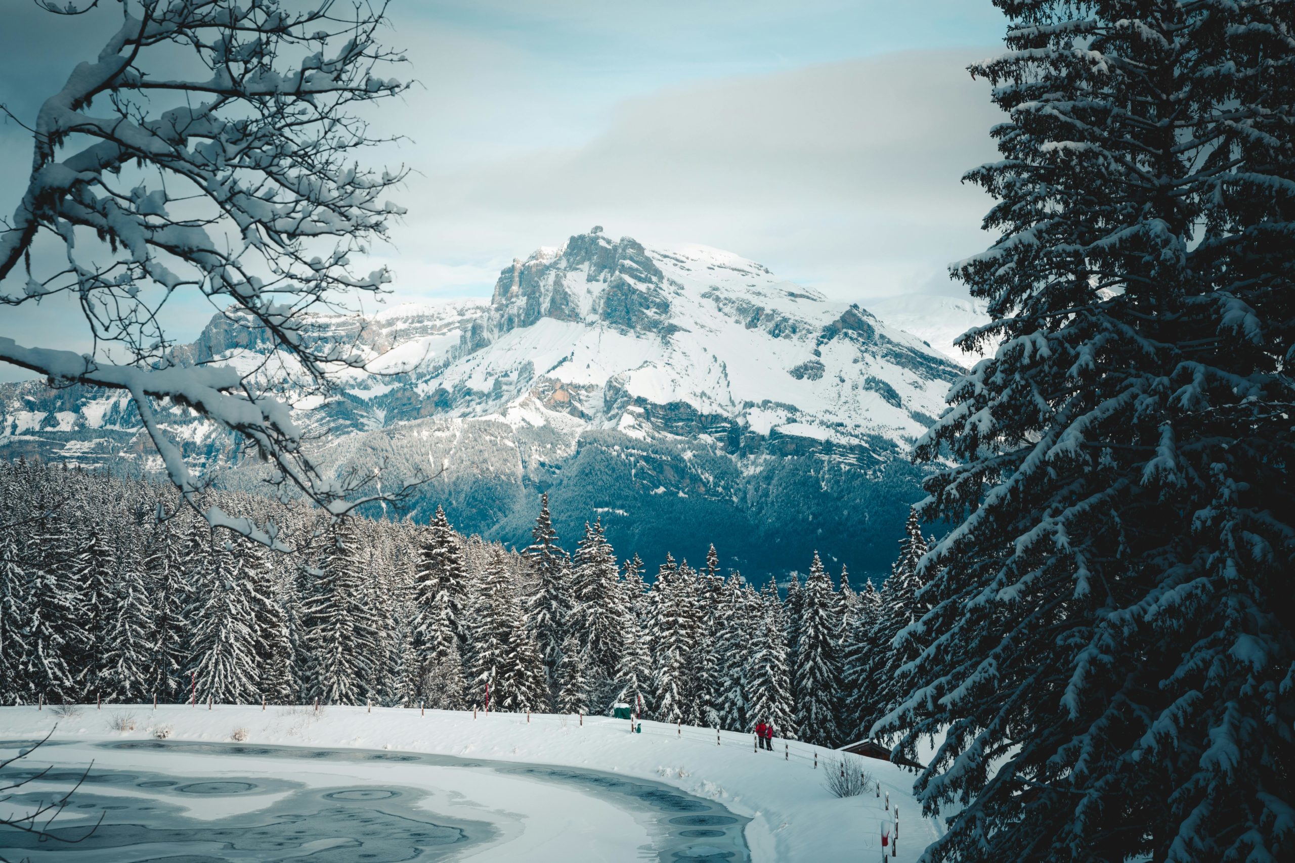 Kostenloses Stock Foto zu 12 zoll schnee, 4 k wald, 8 stunden schnee